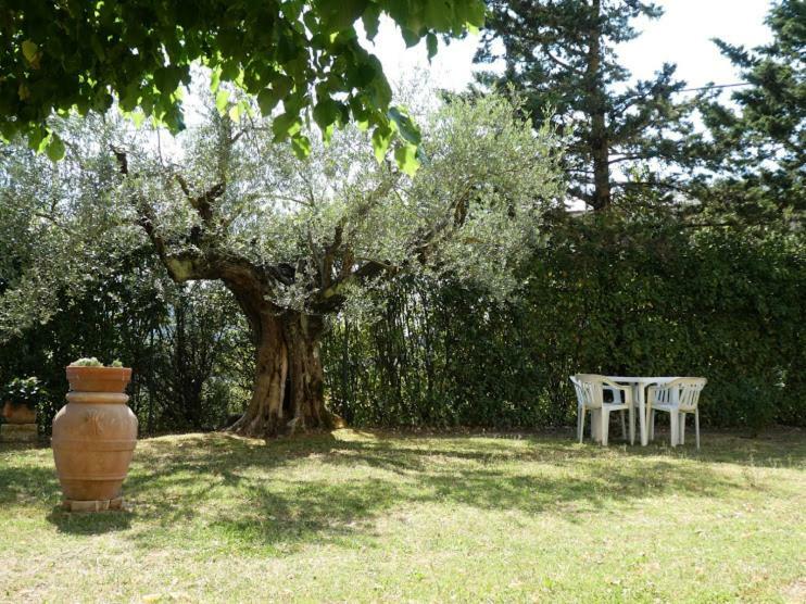 Apartmán Casa Giuliana Chiusi Exteriér fotografie